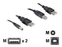 [82461] Delock Stromkabelkit - USB (M) zu USB Typ B, Gleichstromstecker 2,1 mm (M)