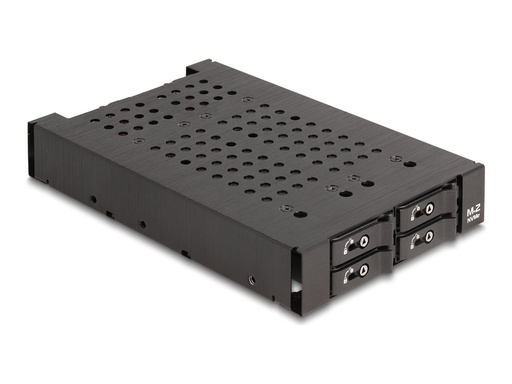 [47072] Delock Mobiles Speicher-Rack - M.2
