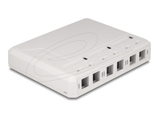 [67052] Delock Gehäuse mit modularen Einsätzen - Keystone-Oberfläche