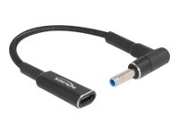 [60031] Delock Netzteil - 24 pin USB-C (W) zu Gleichstromstecker 4,5 x 3,0 mm (M)