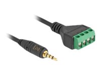 [66268] Delock Audio-Adapter - Mini-Stecker männlich