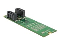 [62961] Delock Speichercontroller (RAID) - 2 Sender/Kanal