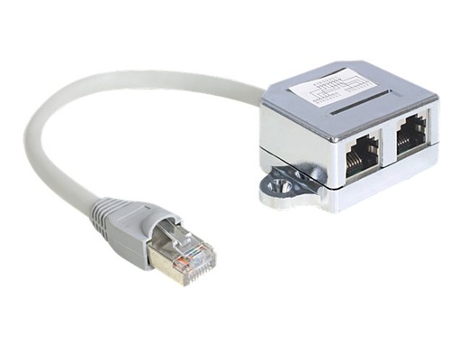 [65441] Delock RJ45 Port Doubler - Ethernet 100Base-TX-Splitter - RJ-45 (M)