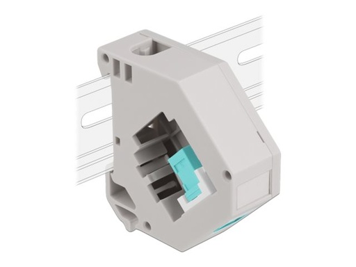 [87173] Delock Keystone Jack-DIN-Adapter für Schienenmontage