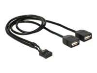 [83823] Delock Interner und externer USB-Adapter - 10-poliger USB-Header (W)
