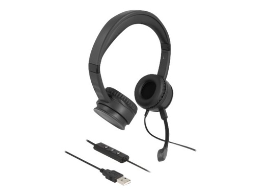 [27180] Delock Headset - On-Ear - kabelgebunden - USB-A