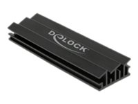 [18283] Delock Solid State Drive Kühlkörper - Schwarz