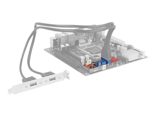 [62843] Delock Converter M.2 Key B+M male > 2 x USB 3.0 Pin Header - USB-Adapter - M.2 Card - USB 3.0 (intern)