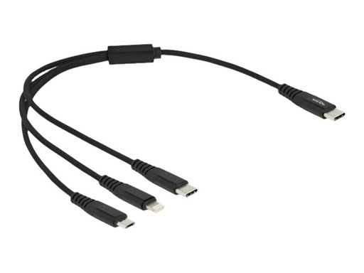 [87148] Delock 3 in 1 - Kabel nur zum Laden - 24 pin