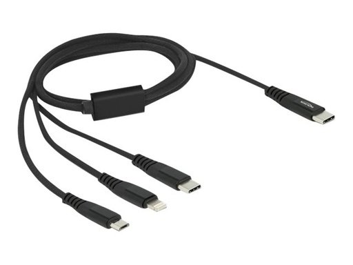 [87149] Delock Kabel nur zum Laden - 24 pin USB-C zu