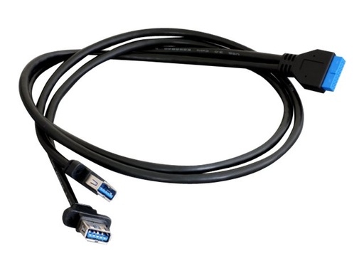 [95234] Delock MiniPCIe I/O PCIe full size 1 x 19 Pin