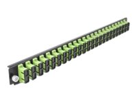 [43368] Delock Rack-Montageblech für Glasfaser-Spleißbox - Vorderseite - SC MM X 24 - hellgrün - 1U - 48.3 cm (19")