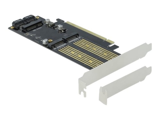 [90486] Delock Speicher-Controller - mSATA, M.2 - M.2