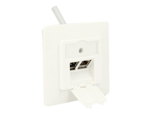 [86219] Delock Keystone Wall Outlet - Wanddose - Pure