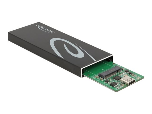 [42003] Delock Speichergehäuse - M.2 - M.2 Card / SATA 6Gb/s - USB 3.2 (Gen 2)
