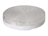 [46203] Delock LIGHTING - LED-Lampe - GX53 - 3 W - kühles