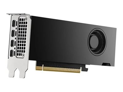 [DELL-M7X81] Dell NVIDIA RTX 2000 Ada Generation - Grafikkarten