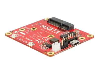 [62648] Delock Speicher-Controller - mSATA - mSATA