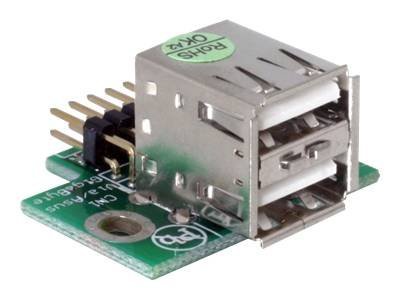 [41763] Delock USB-Adapter - 10-poliger USB-Header (M)