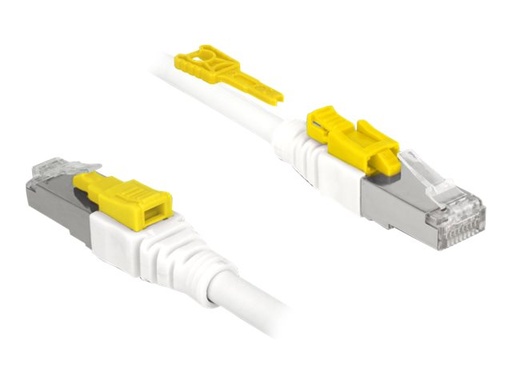 [85332] Delock Secure - Patch-Kabel - RJ-45 (M) zu RJ-45 (M)
