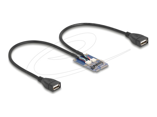 [64346] Delock USB-Adapter - PCIe Mini Card - USB 2.0