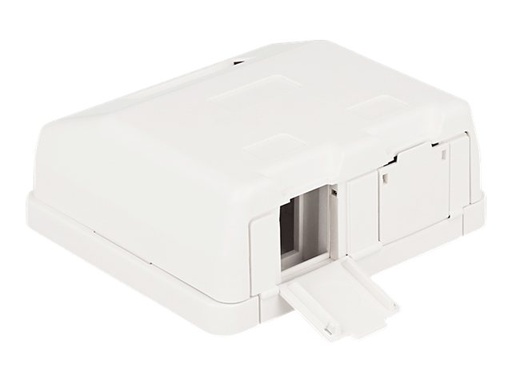 [86236] Delock Keystone Surface Mounted Box - Gehäuse