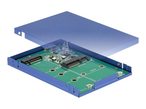 [62731] Delock Speichergehäuse - M.2 Card / mSATA - USB 3.1 (Gen 2)