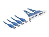 [82975] Delock Slot bracket - USB-Konsole - USB Typ A (M)