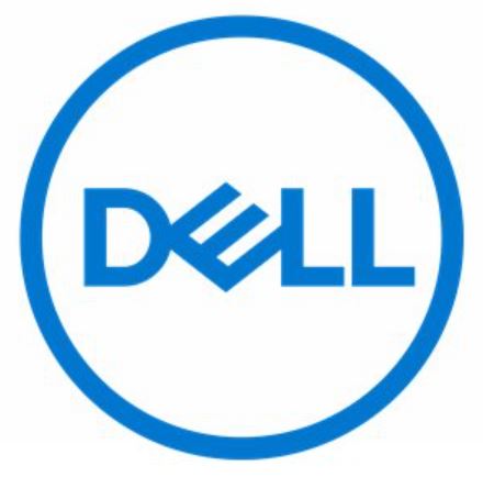 [634-BYKT] Dell Microsoft Windows Remote Desktop Services 2022 - Betriebssystem - Nur Lizenz