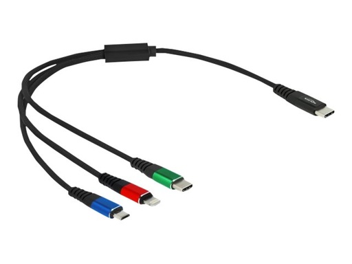 [86820] Delock 3 in 1 - Kabel nur zum Laden - 24 pin