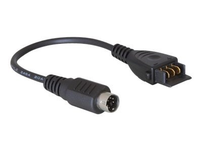 [65142] Delock HPC-F4809 - Adapter für Power Connector