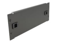 [66578] Delock Rack-Blindabdeckungsplatte - Schwarz - 2U - 25.4 cm (10")