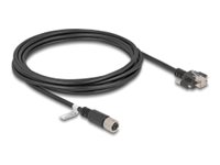 [80458] Delock Netzwerkkabel - 8 pin M12-X (W) zu RJ-45 (M)