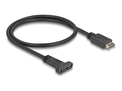 [85526] Delock USB-Adapterkabel - 20-polig USB Typ E (M)