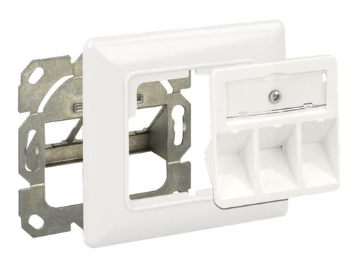 [86194] Delock Keystone Wall Outlet - Wanddose - Pure