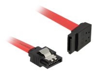 [83972] Delock SATA-Kabel - Serial ATA 150/300/600 - SATA (M)