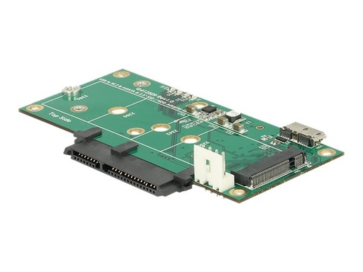 [62867] Delock Speicher-Controller - mSATA, M.2 - M.2 Card / SATA 6Gb/s / mSATA - USB 3.1 (Gen 2)