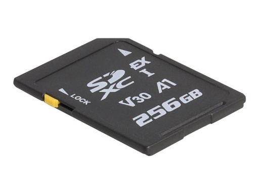 [54091] Delock Flash-Speicherkarte - 256 GB - Video