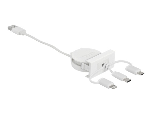 [81375] Delock Easy - Lightning-Kabel - USB männlich