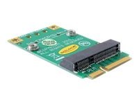 [65229] Delock Converter Mini PCI Express half-size >