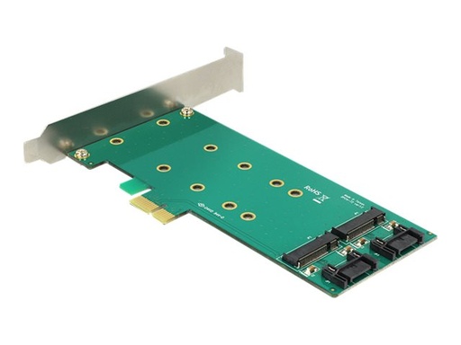 [89473] Delock PCI Express Card > 2 x internal M.2 - Speicher-Controller