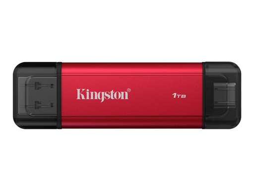 [SPSD/1TB] Kingston Dual - SSD - 1 TB - extern (tragbar)