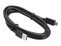 [CBL-MPV-USB1-01] Zebra USB-Kabel - USB (M) zu USB-C (M) - für