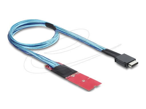 [64360] Delock Internes SAS-Kabel - M.2 M Schlüssel (M)