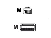[210267-100] HONEYWELL USB- / Netzwerkkabel - USB (M)