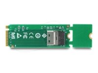 [64361] Delock Laufwerksschachtadapter - NVMe - M.2