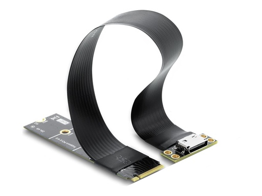[64377] Delock Schnittstellenadapter - M.2 Key M to OCuLink SFF-8612, with 20 cm cable