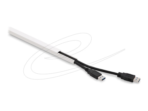 [22066] Delock Kabelkanal - self-adhesive with sliding cover - 1 m - weiß (Packung mit 5)