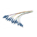 [S215475] Synergy 21 LWL-Pigtail-LC 9/125u OS2 12-Pack farbig - Kabel - 2 m