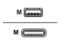 [CBL-MPM-USB1-01] Zebra USB-Kabel - USB (M) zu USB-C (M)
